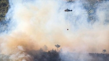Bakan Yumaklı, Mersin'in Gülnar ilçesindeki orman yangınının kontrol altına alındığını bildirdi
