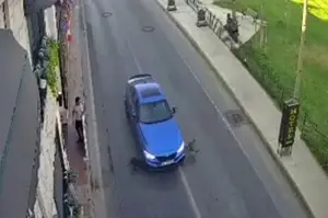 Bakırköy’de yolun karşısına geçmeye çalışan köpeklere otomobil böyle çarptı