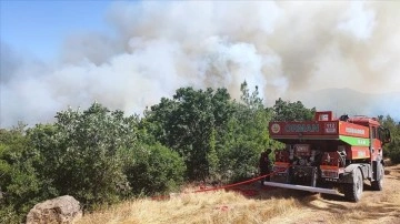 Balıkesir'de çıkan orman yangını kontrol altına alındı