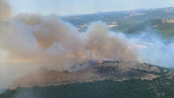 Balıkesir'in Altıeylül ilçesinde çıkan orman yangını kontrol altına alındı