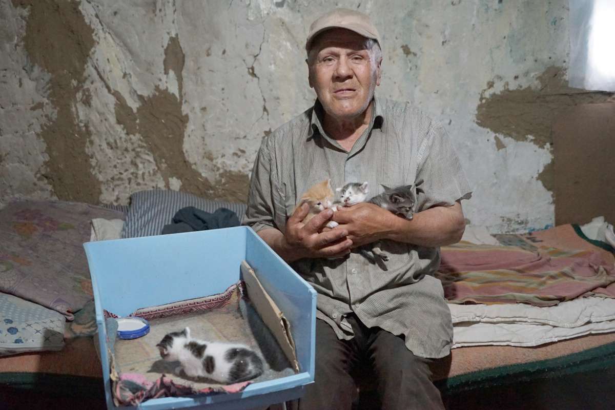 Barakada yaşayan vatandaş, bir lokma ekmeğini 36 kedi ile paylaşıyor