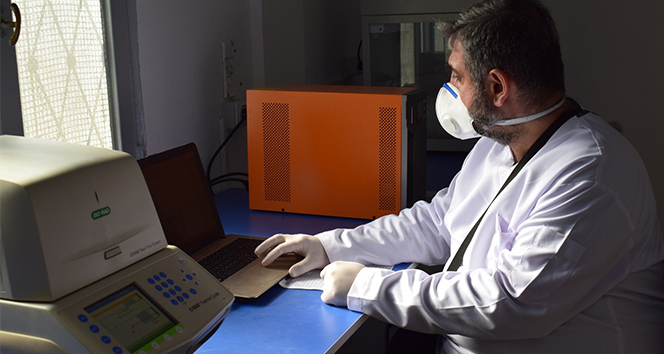 Barış Pınarı bölgesinde PCR laboratuvarı kuruldu