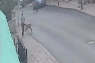 Başıboş köpeklerin saldırdığı vatandaşın yaşadığı dehşet kamerada