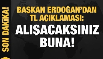 Başkan Erdoğan'dan TL açıklaması: Alışacaksınız buna