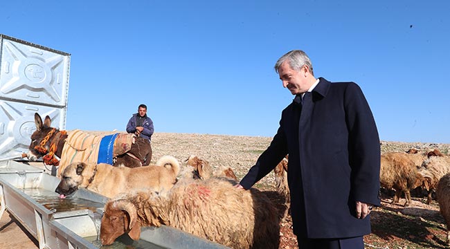 Başkan Tahmazoğlu' Amacımız hayvancılığı geliştirmek'