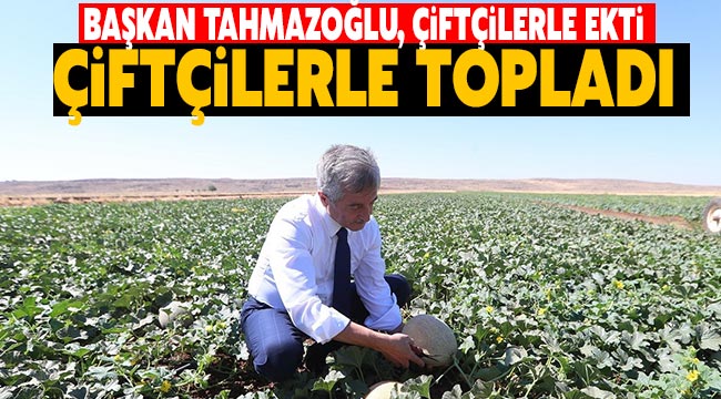  Başkan Tahmazoğlu, çiftçilerle ekti çiftçilerle topladı
