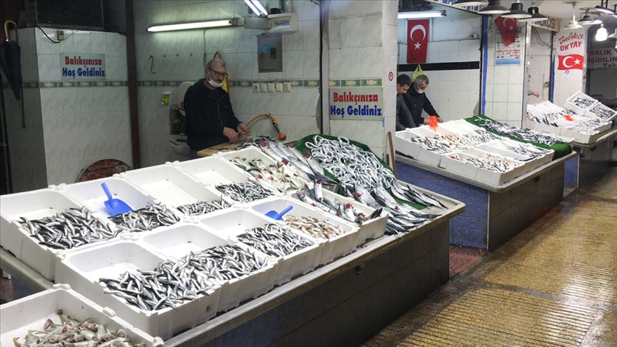 Batı Karadeniz’de balığın azalması fiyatları artırdı