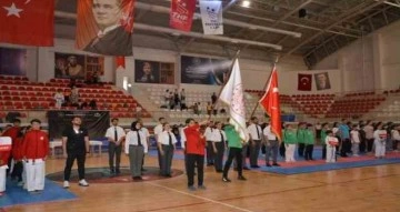 Batman’da ‘Analig Karate Şampiyonası’ başladı