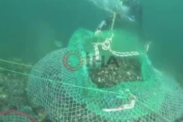 Beykoz’da kaçak avladıkları 1 ton midyeyi denizin 7 metre derinliğine sakladılar