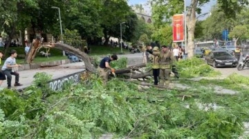 Beyoğlu'nda bir ağacın devrilmesi sonucu 3 kişi yaralandı