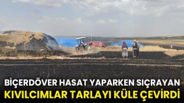 Biçerdöver hasat yaparken sıçrayan kıvılcımlar tarlayı küle çevirdi