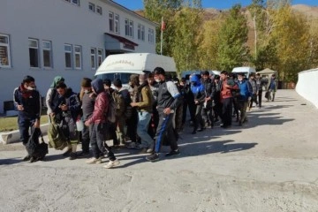 Bitlis’te 48 düzensiz göçmen yakalandı