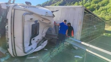 Bitlis'te tır devrildi: Sürücü ve 150 kurbanlık koyun öldü