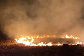 Bodrum’da aynı bölgede yine yangın çıktı