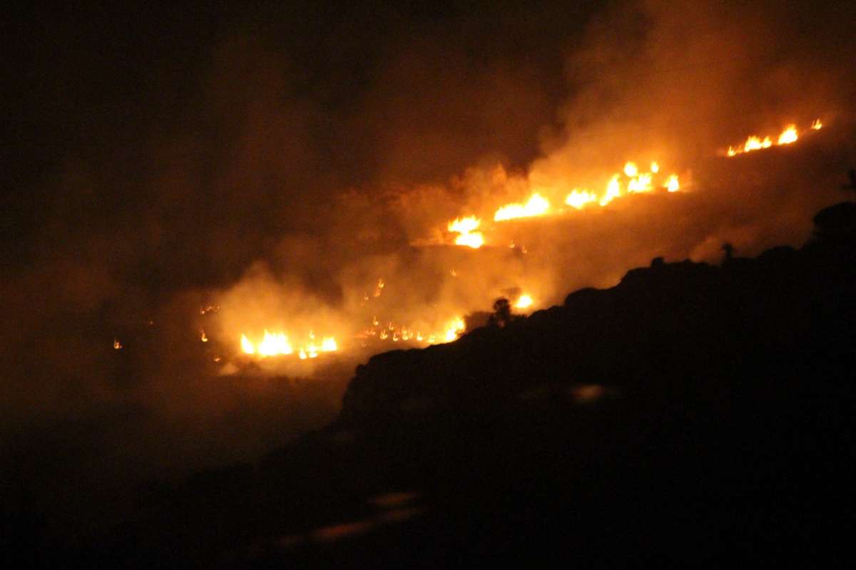 Bodrum'da çıkan yangın evlere ulaşmadan kontrol altına alındı
