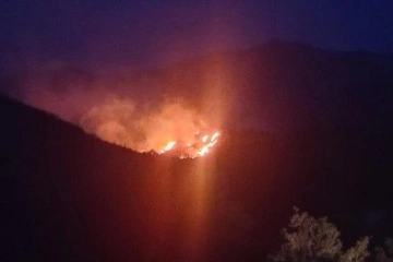 Bodrum’da orman yangını !