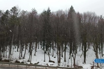 Bolu Dağı'nda kar yağışı etkili oluyor !
