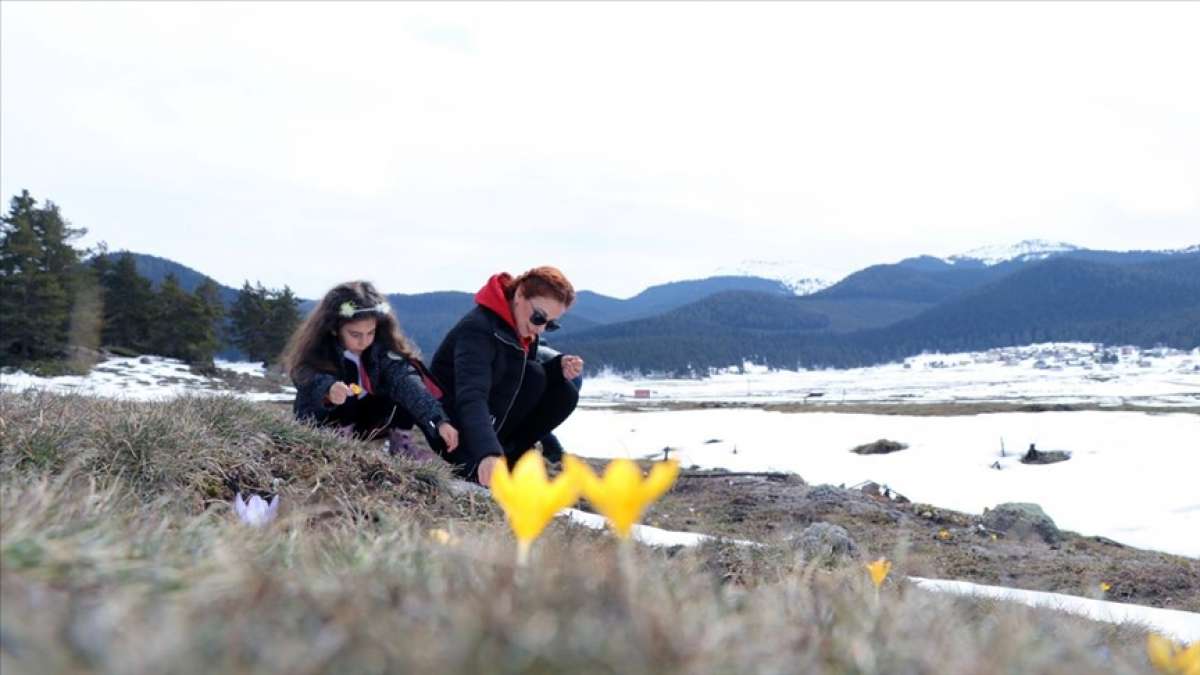 Bolu'nun göz alıcı yaylalarından Sarıalan'da iki mevsim bir arada yaşanıyor