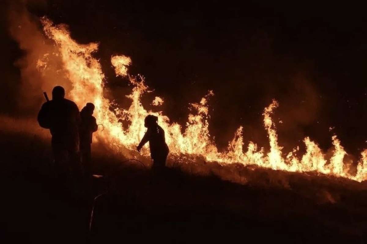 Brezilya'da dilek fenerinin düştüğü parkta yangınla mücadele sürüyor