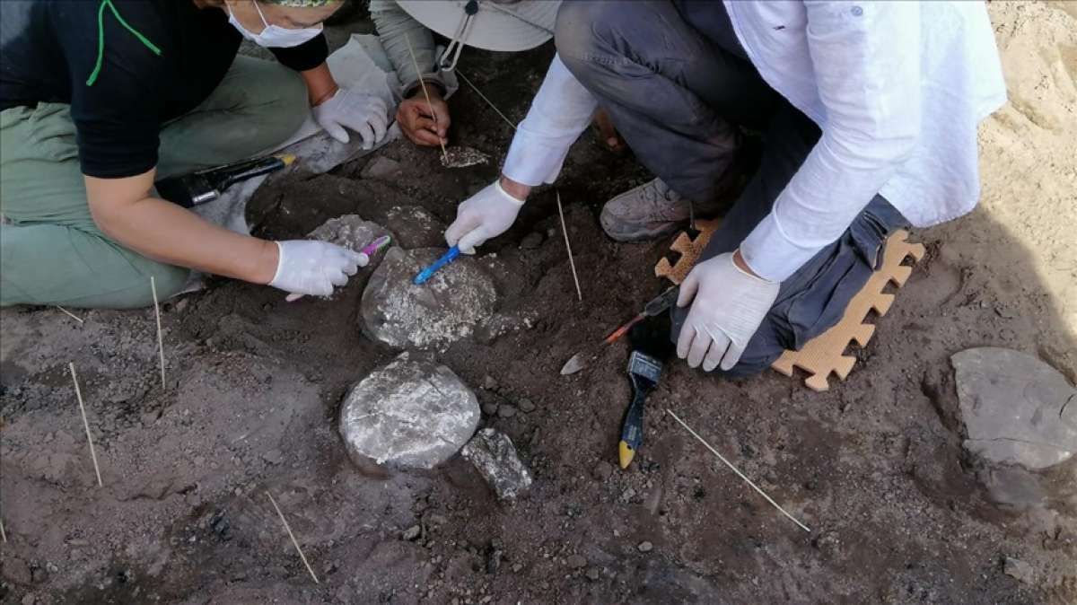 Bu yıl 600'den fazla arkeolojik kazı çalışmasına 64 milyon lira destek sağlanacak