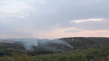 Bulgaristan'da çıkan orman yangınında alevler Edirne'den görülebiliyor
