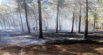 Burç ormanlarında çıkan yangın söndürüldü