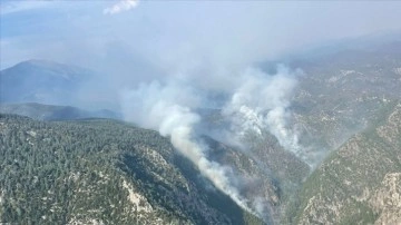 Burdur'da Karanlıkdere Kanyonu'ndaki orman yangınına müdahale sürüyor