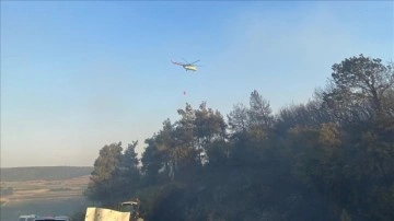 Bursa'da çıkan orman yangınına müdahale ediliyor