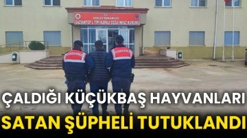 Çaldığı küçükbaş hayvanları satan şüpheli tutuklandı
