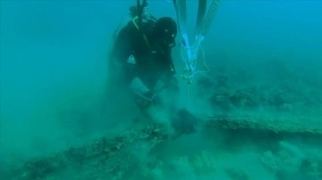Çanakkale Boğazı 6 yılda yaklaşık 20 bin metrekare hayalet ağdan kurtarıldı