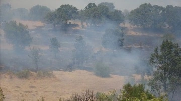 Çanakkale'de çıkan yangın tarım arazisinde zarara neden oldu