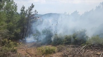 Çanakkale'de yıldırım düşmesi sonucu 6 noktada çıkan orman yangınlarından 5'i söndürüldü