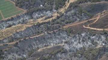 Çanakkale'deki orman yangınının ardından