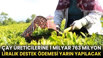 Çay üreticilerine 1 milyar 763 milyon liralık destek ödemesi yarın yapılacak