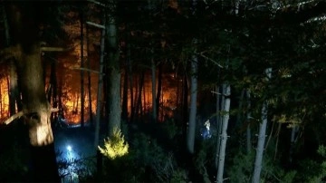 Çekmeköy'de ormanlık alanda çıkan yangın söndürüldü