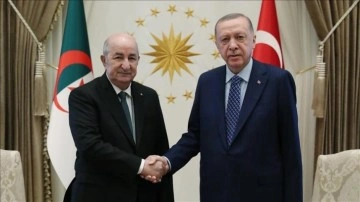 Cezayir Cumhurbaşkanı Tebbun'dan Cumhurbaşkanı Erdoğan'a tebrik telefonu