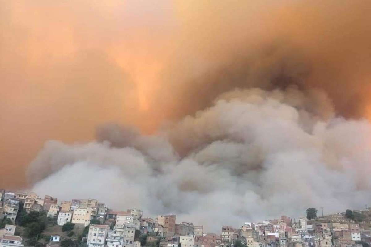 Cezayir'de 31 noktada orman yangını çıktı: 4 ölü, 3 yaralı