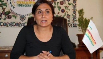 CHP, polise taş fırlatan HDP'li Tuğluk'a özgürlük istedi