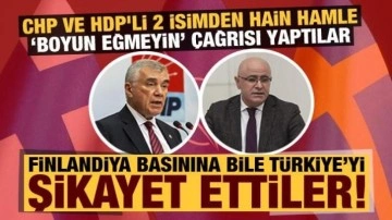 CHP ve HDP'li 2 isimden hain hamle: Finladiya basınına konuştular, akıllara zarar sözler..