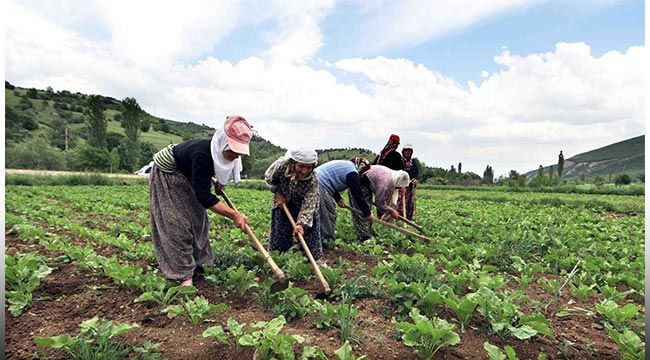 Çiftçi Kayıt Sistemi'ne başvurular 30 Haziran'da sona eriyor