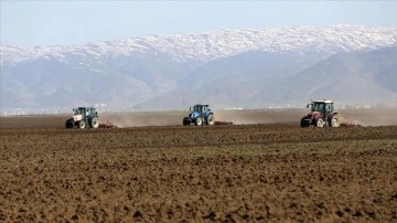 Çiftçiler Muş Ovası'nda ekim mesaisine başladı