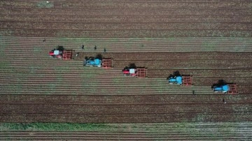 &Ccedil;ift&ccedil;ilere yaklaşık 55 milyon liralık tarımsal destek &ouml;demesine başlanıyor