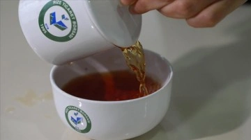 Coğrafi işaretli 'Rize çayı' 2022'de raflarda yerini alacak
