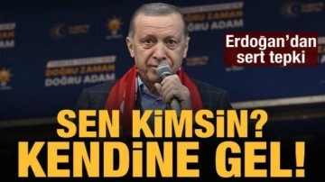 Cumhurbaşkanı Erdoğan: Sen kimsin, neyi satıyorsun?