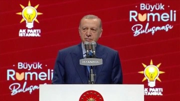 Cumhurbaşkanı Erdoğan: Türkevi'nin camlarını kıran teröristi bulmanız, gereğini de yapmanız laz