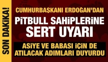 Cumhurbaşkanı Erdoğan'dan Asiye'ye saldıran pitbullun sahiplerine uyarı