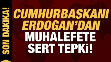 Cumhurbaşkanı Erdoğan'dan muhalefete '14 Mayıs' tepkisi!
