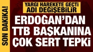 Cumhurbaşkanı Erdoğan'dan TTB açıklaması: Yargı harekete geçti