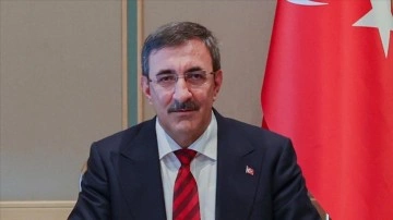 Cumhurbaşkanı Yardımcısı Yılmaz'dan Türkiye ile BAE arasındaki anlaşmalara ilişkin açıklama