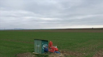 "Damla sulama" y&uuml;zde 60 su tasarrufu ve ikinci &uuml;r&uuml;n imkanı sağladı